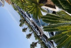 IMG_6208